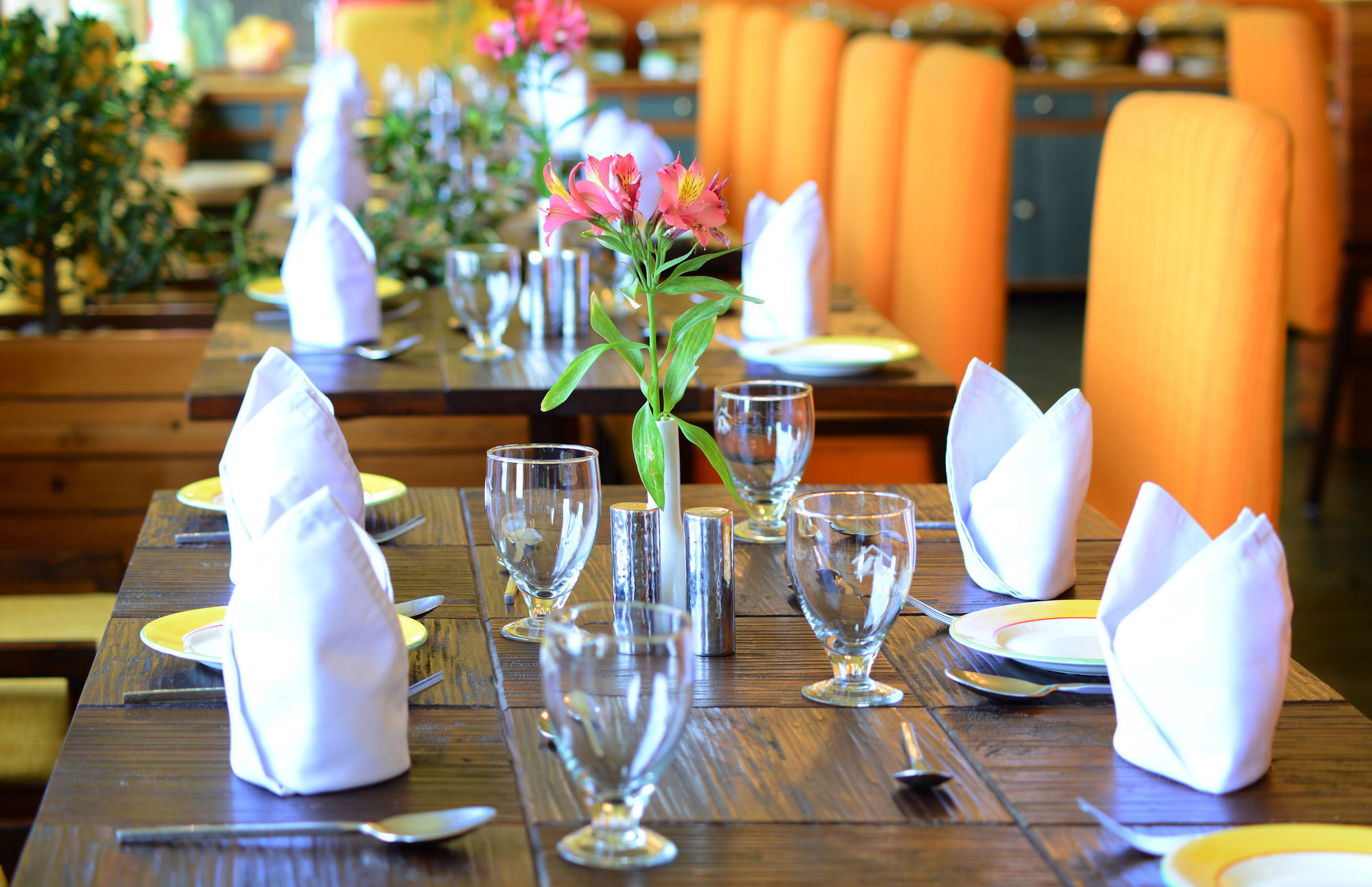 Honeymoon Inn Mussoorie Εξωτερικό φωτογραφία